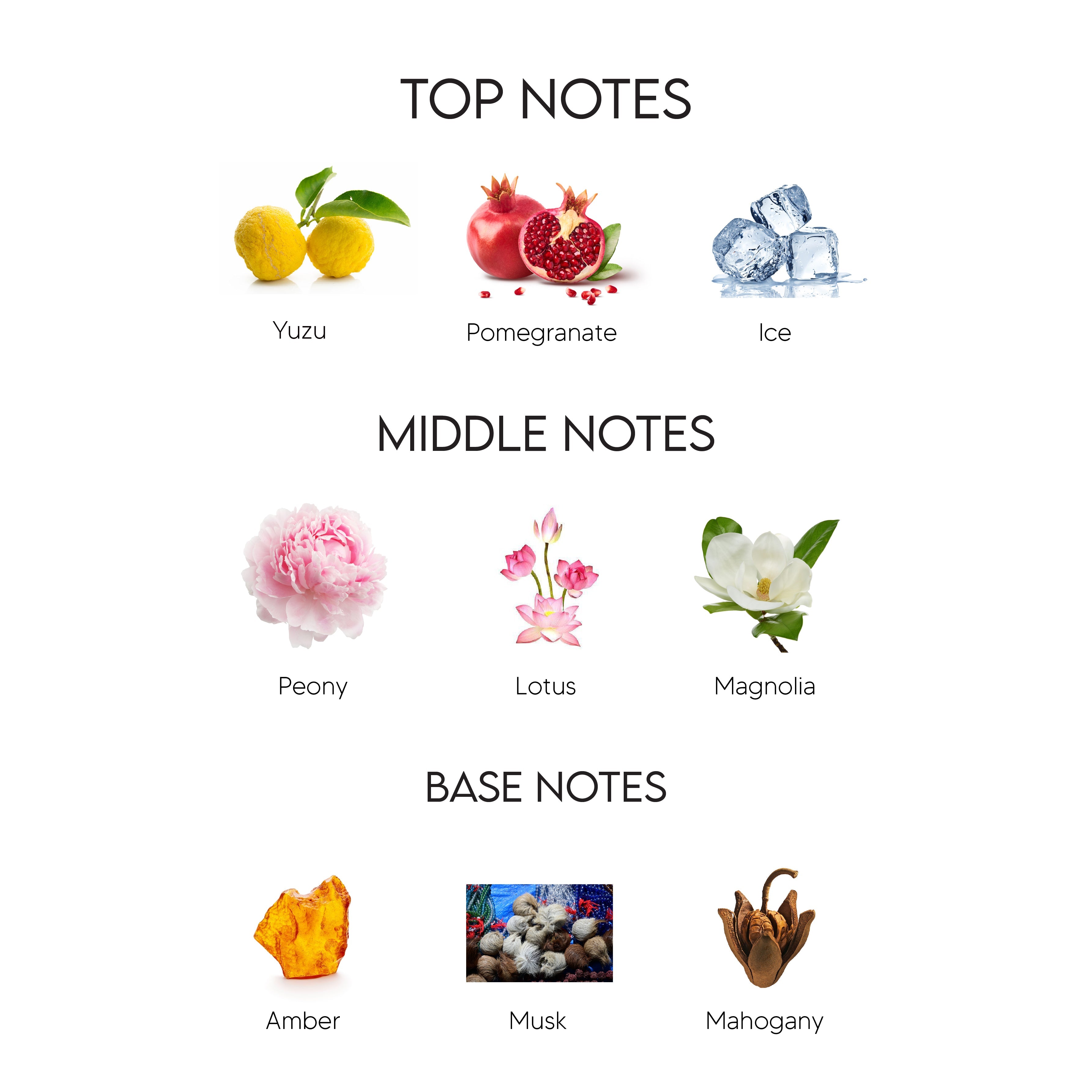 BEAUTY QUEEN 👰 VERSACE CRYSTAL BRIGHT